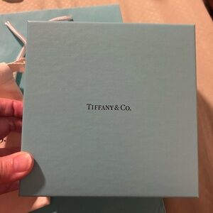 Tiffany & Co. Iconic Blue Box, Bag, and canvas bag